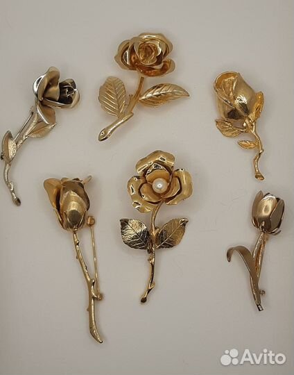 Розы броши, США