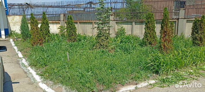 Благоустройство участка