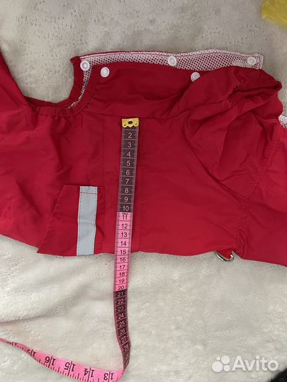 Одежда для собак мелких пород