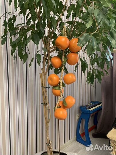 Декоративные фрукты/овощи в ассортименте