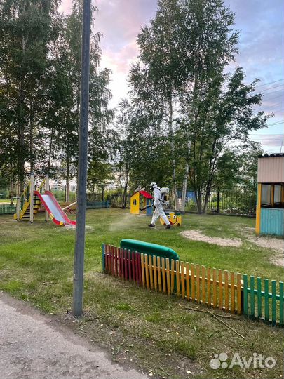 Обработка от клещей и комаров