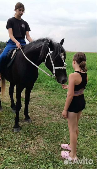 Верховая езда