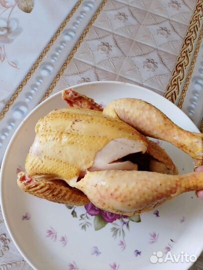 Куры домашние тушки