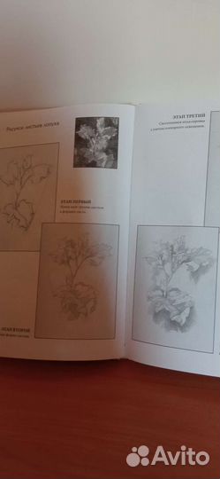 Школа рисунка карандашом