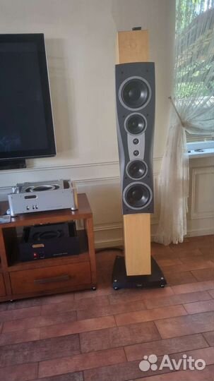 Напольная акустика Dynaudio Confidence C5