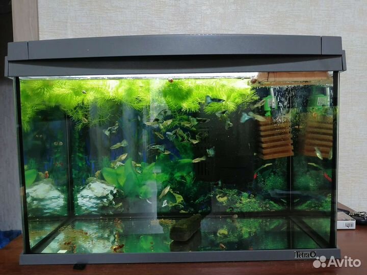 Продам аквариумы