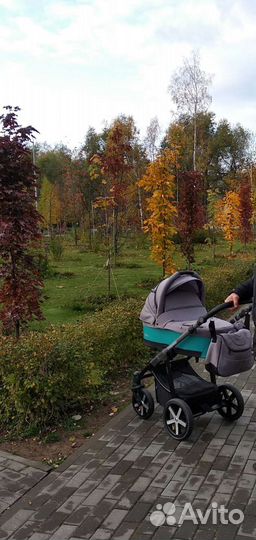 Коляска Baby Design Husky 2 в 1