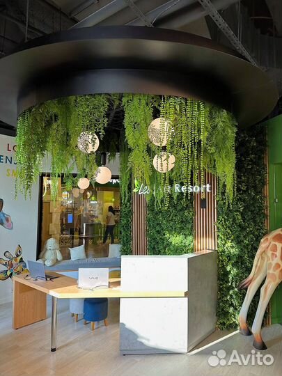 Вертикальное озеленение. Фитостена