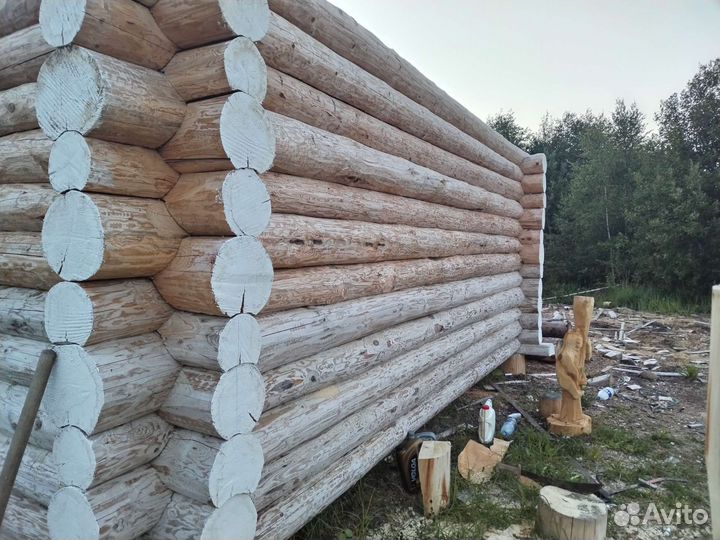 Сруб дома из бревна