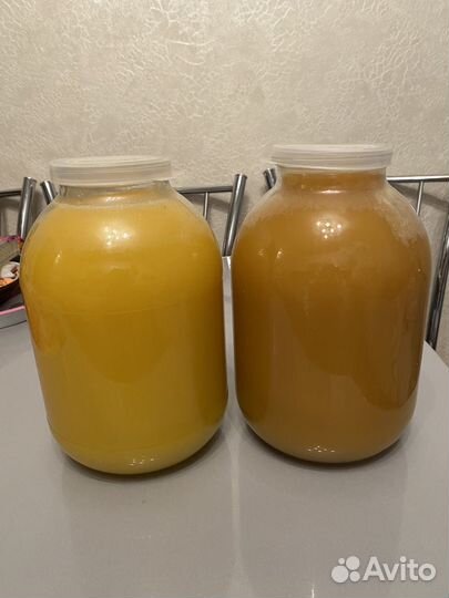 Натуральный мед урожай 2023