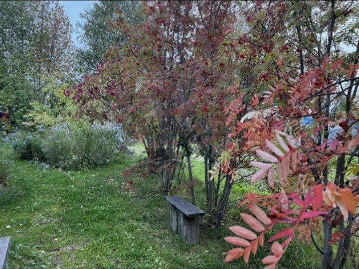 Дача 20 м² на участке 8 сот.