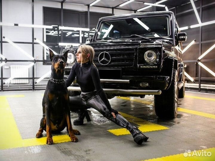 Модульная плитка пвх