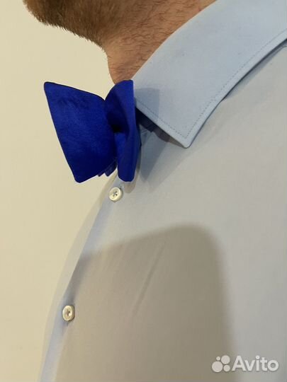 Бабочка garsia