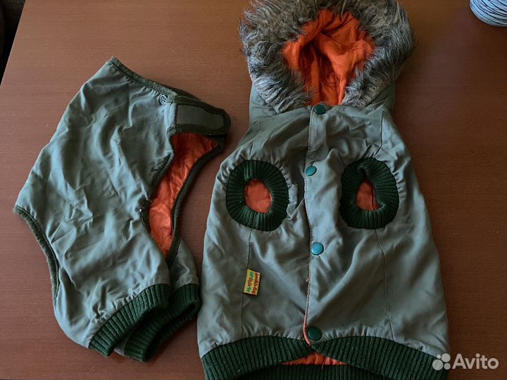 Костюмчик для собачки