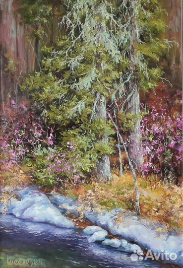 Ниловка.Масло, холст 37*54 Киселевич Г