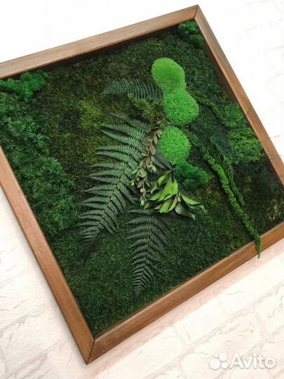 Панели из стабилизированного мха