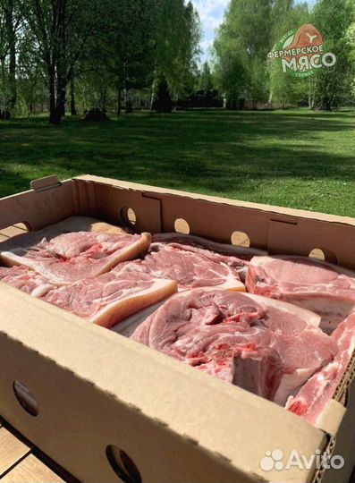 Мясо свинина