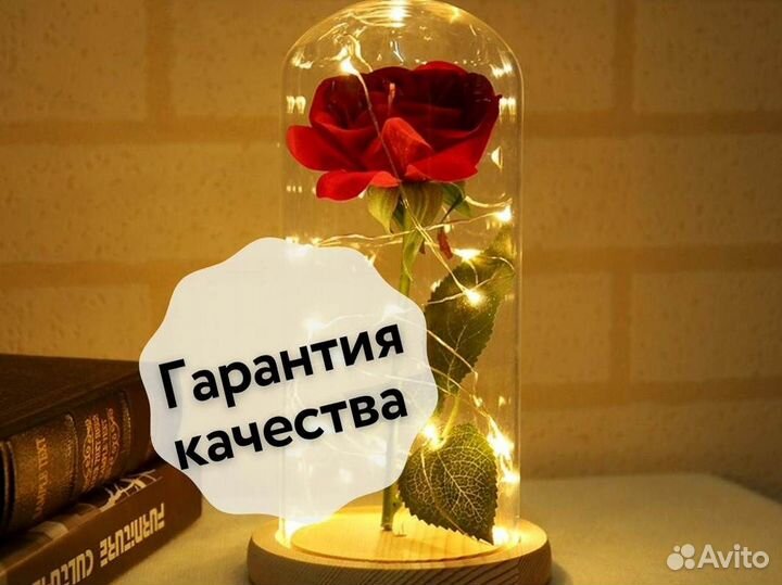 Роза в колбе. Живая