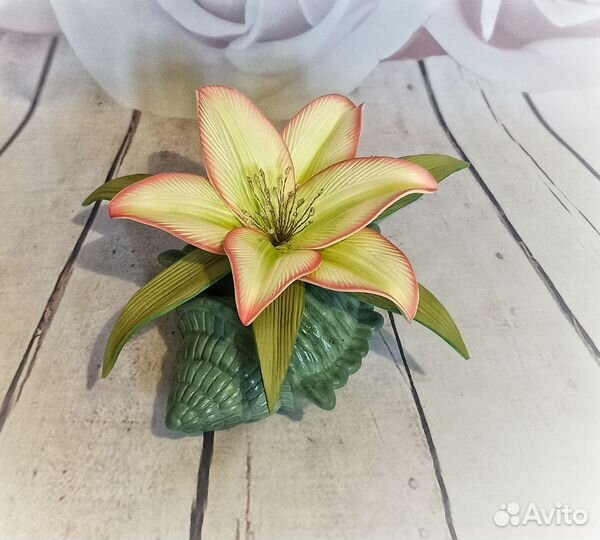 Ночник лилия в ракушке