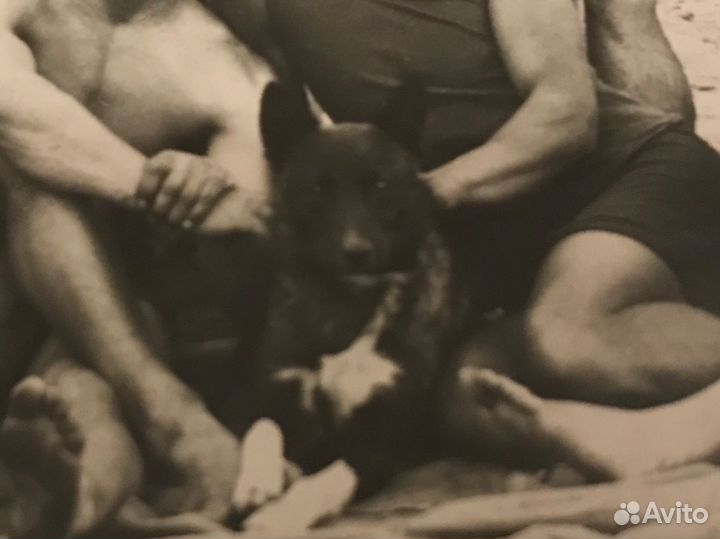 Удостоверение красноармейца огпу и фото