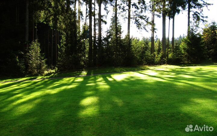Газон для рекультивации заболоченных земель