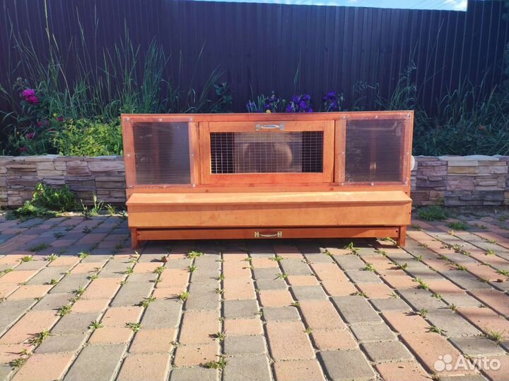 Брудер для цыплят