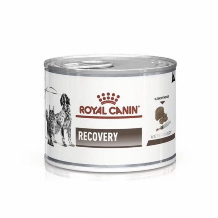 Royal canin recovery влажный мусс/паштет