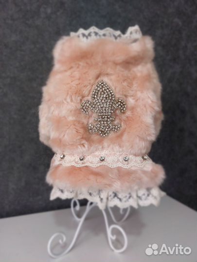 Одежда для собак