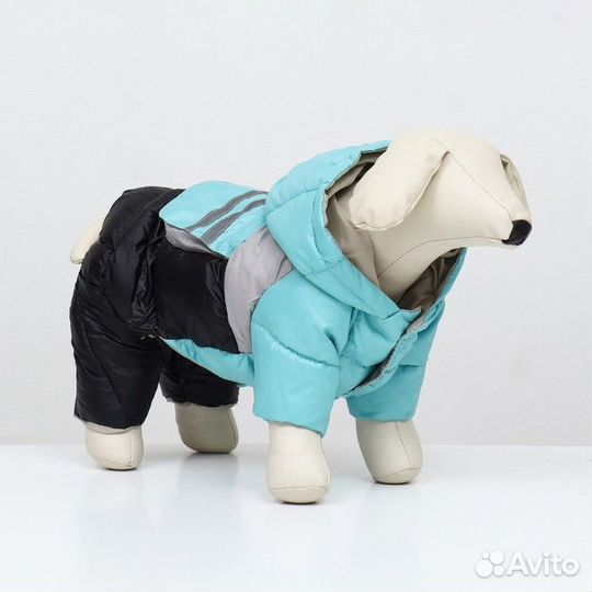 Комбинезон 'Анорак' светоотражающий, размер 10 (дс