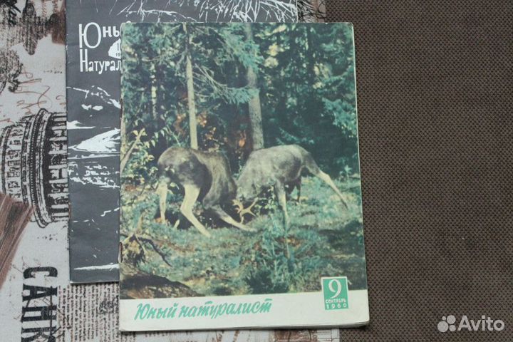 Юный натуралист, атласы, книги по искусству