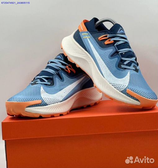 Nike Pegasus Trail 2