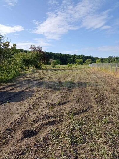 Дом 60 м² на участке 22 сот.