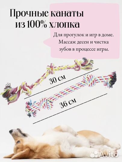 Подарок для собаки. набор игрушек для собак