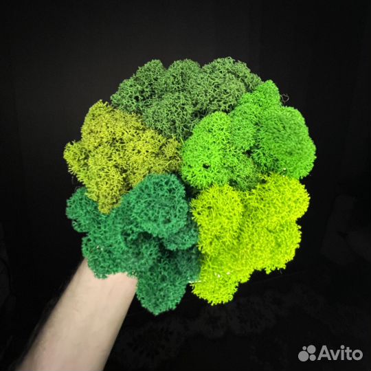 Стабилизированный мох, Зеленый Микс