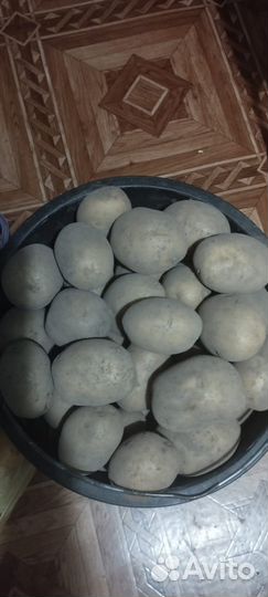 Картофель
