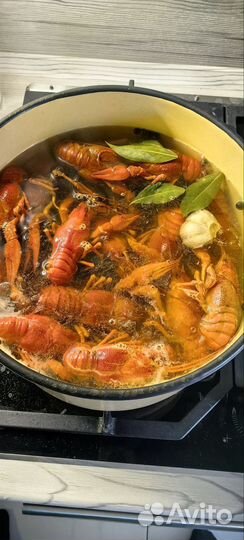Вареные раки по фирменному рецепту