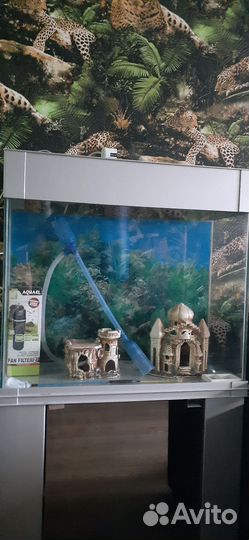 Аквариум