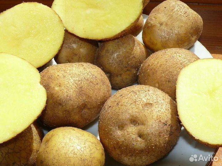 Картофель