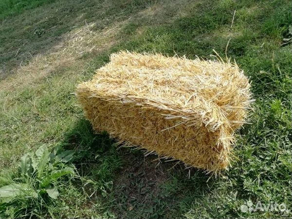Солома в тюках