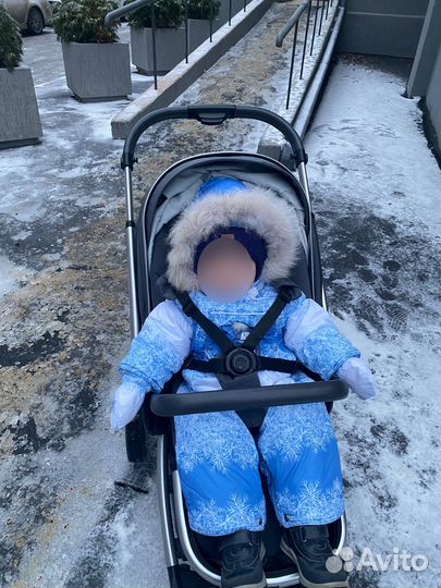 Коляска anex l type 2 в 1