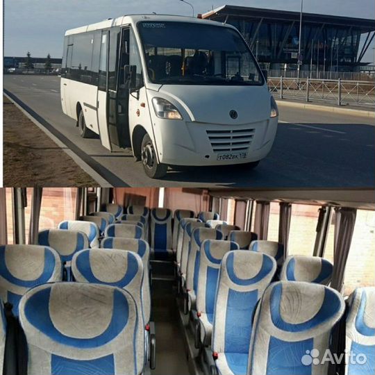 Экскурсии по Петербургу и области