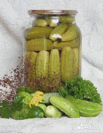 Огурец Соленые Уши - корнишон F1 (уд) 10 шт цв.п