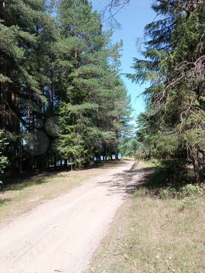 Дом 130 м² на участке 100 сот.