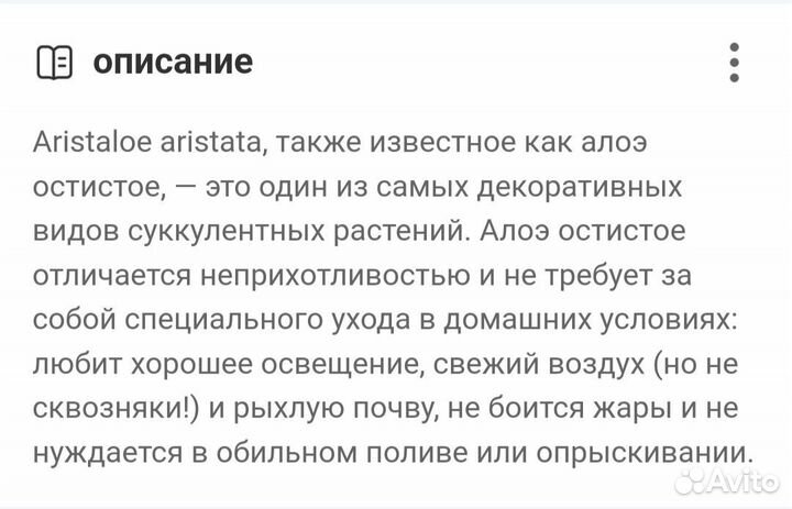 Алоэ остистое