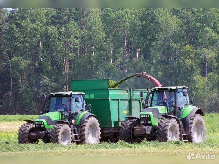 Животноводческий комплекс