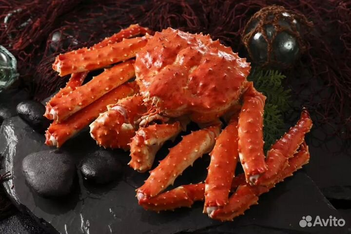 Клешни камчатского краба