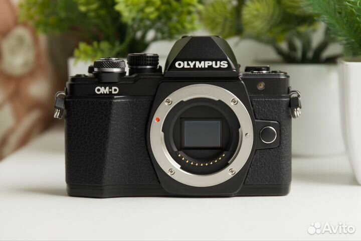 Olympus OM-D E-M10 Mark II Kit