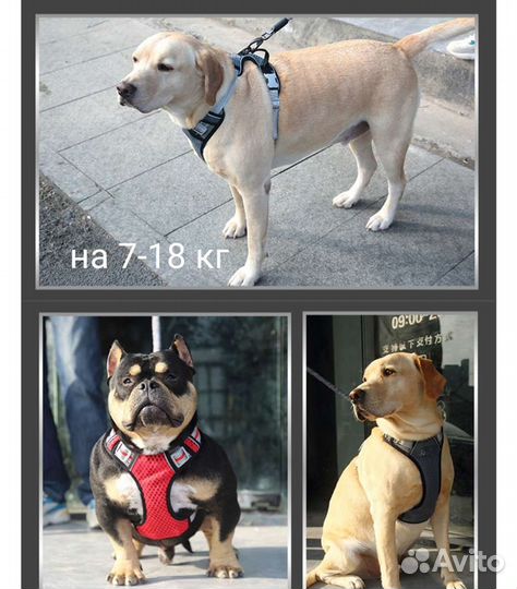 Шлейки новые