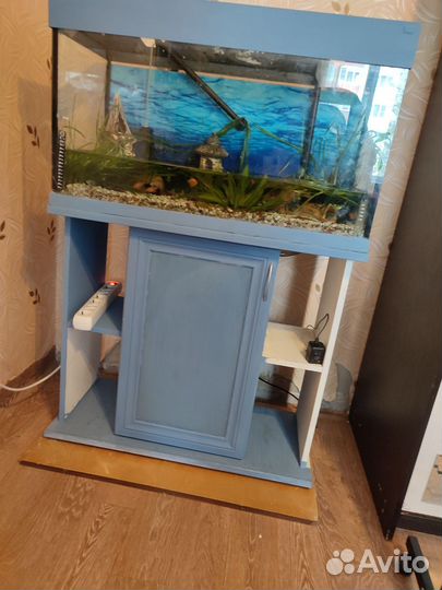 Аквариум