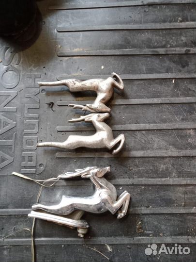 Олень на волгу 21